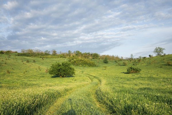 Chambres Hotes Iledefrance